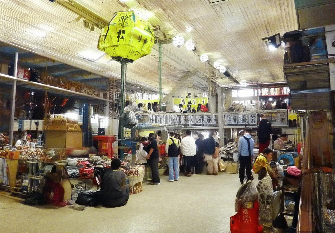 富兰克林智慧与影响力：塑造现代社会科学与文化发展